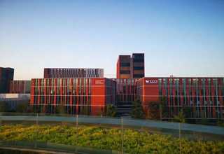 金山区葡萄糖报价