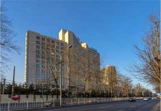 广东优惠免洗零残留锡膏