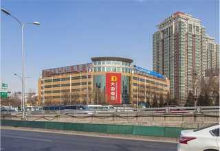 梨树三色堇花销售