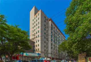 山东高级网站建设服务